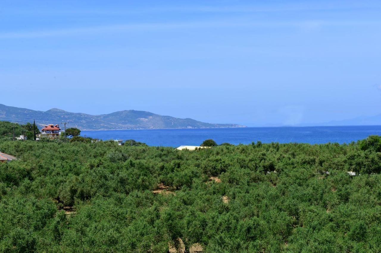Asteria Apartments Zakynthos Exteriér fotografie